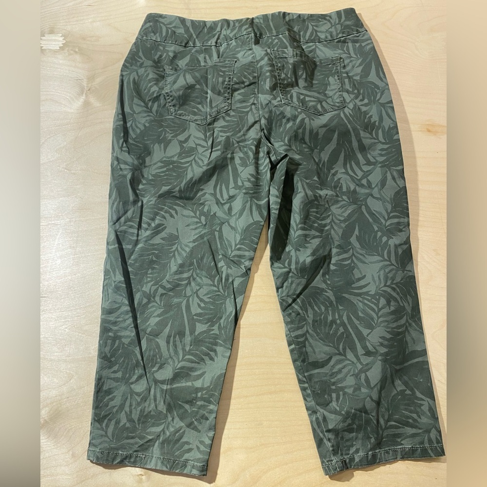 Style & Co Green Leaf Print Capris 16 (MY) - Picture 6 of 8